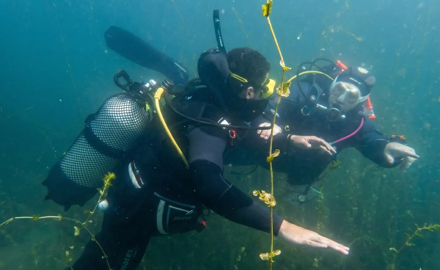 Cours Privé Plongée